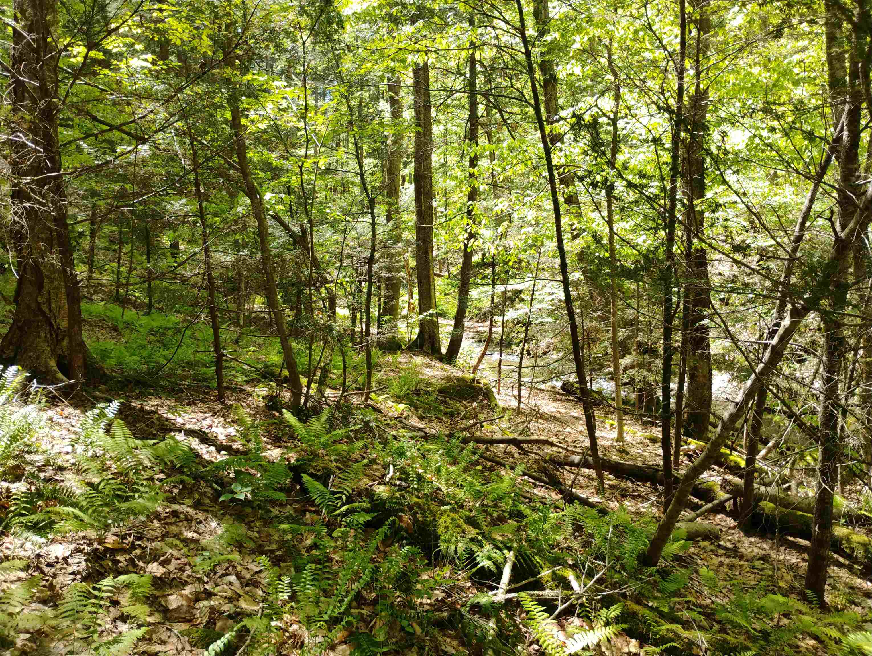 215 Melendy Hill Road