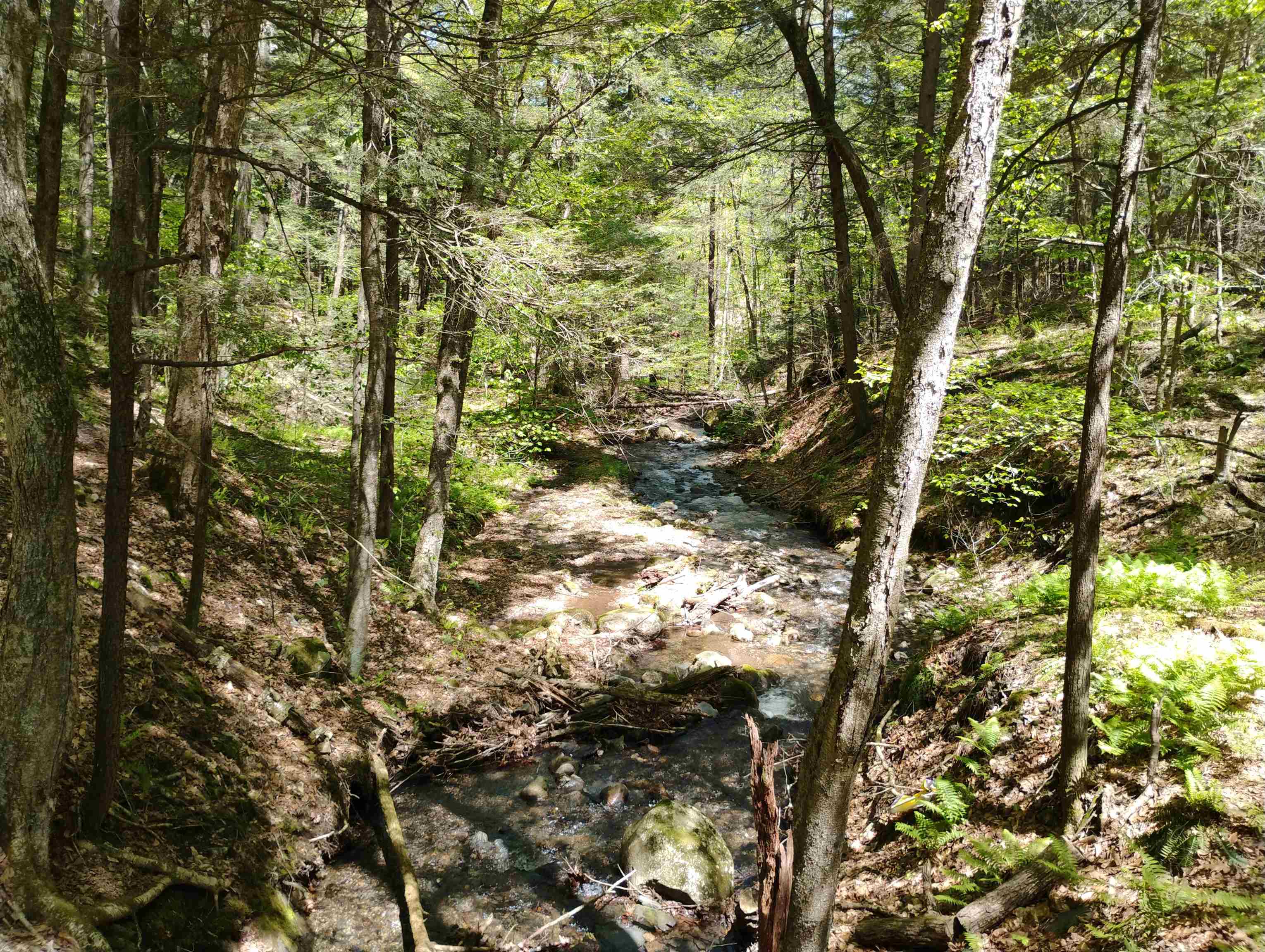 215 Melendy Hill Road