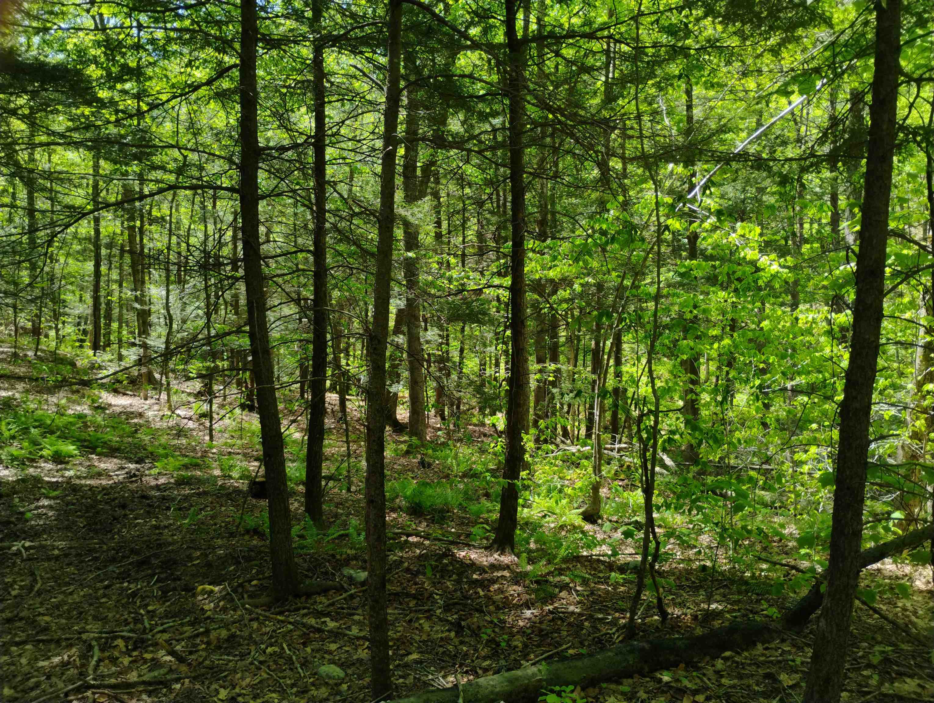 215 Melendy Hill Road