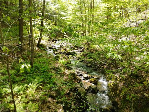 215 Melendy Hill Road Guilford VT 05301