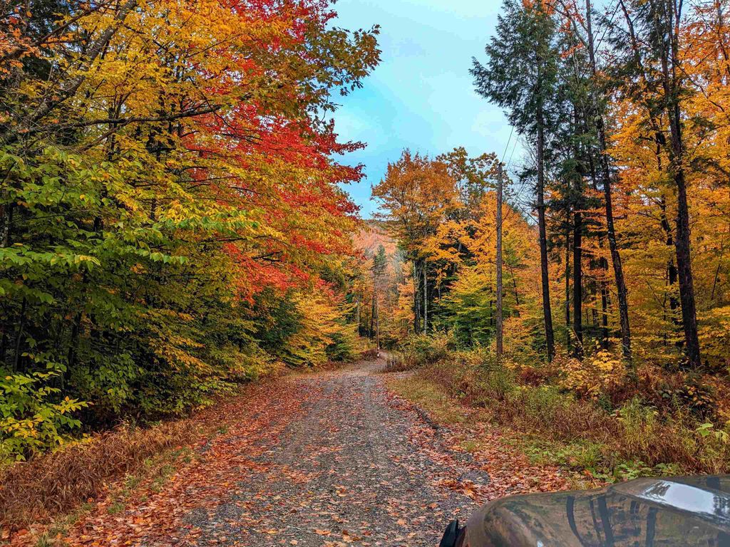 Photo of 24 Potts Drive, Dorchester, NH 03266 (MLS # 5066926)