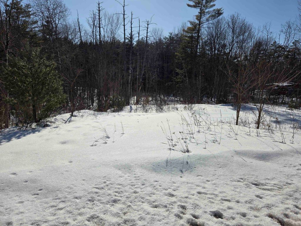 Photo of 0 US Route 4 Route, Enfield, NH 03748 (MLS # 5077964)