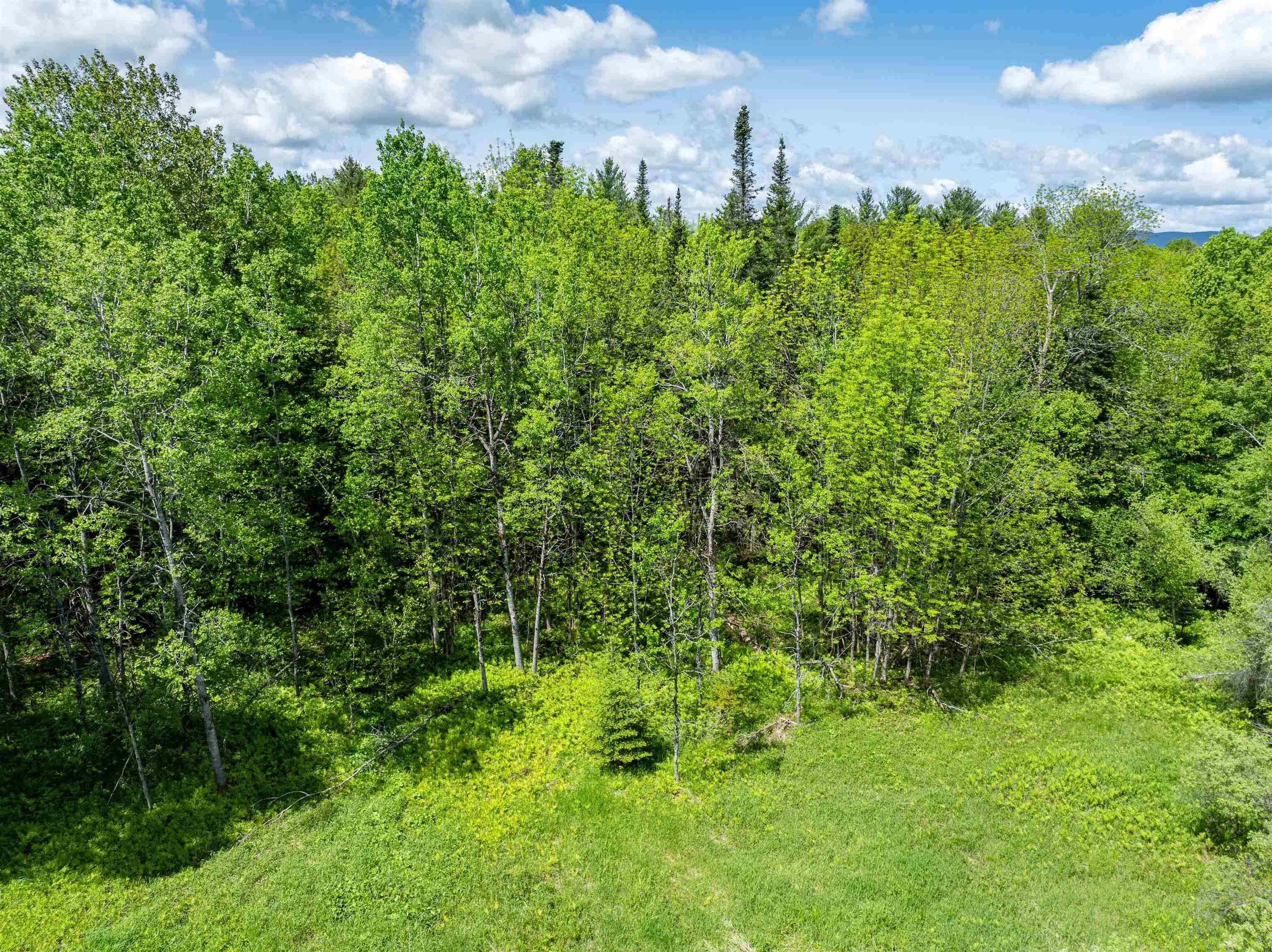 219 Pallas Road