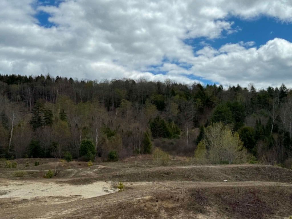 Photo of 7 Bog Road, Enfield, NH 03748 (MLS # 5087992)