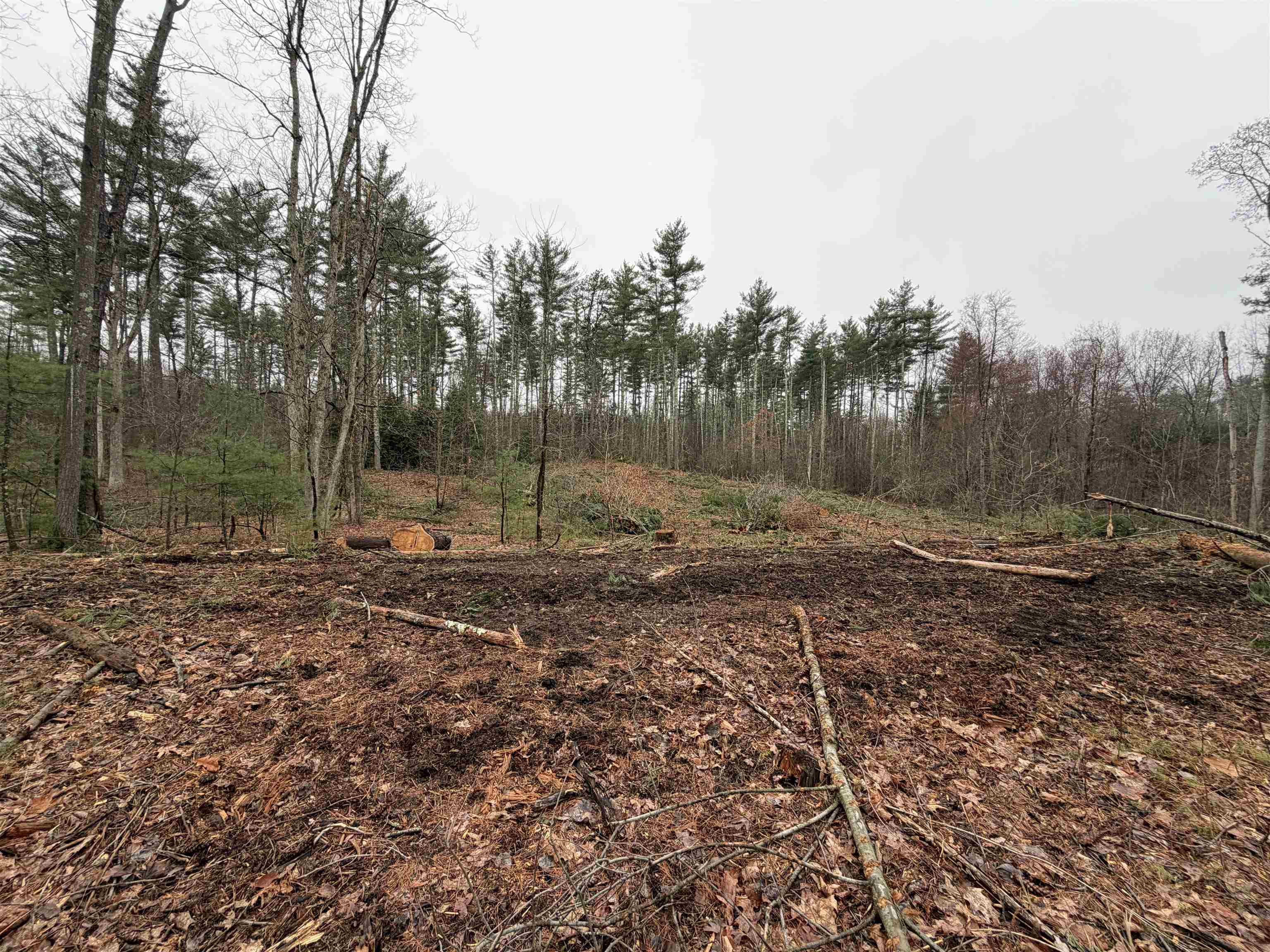 46-52-3 Witches Spring Road