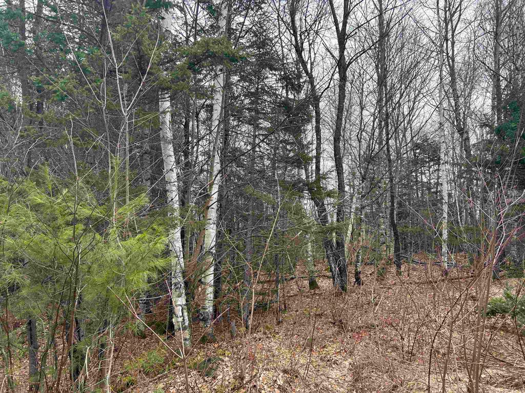 Photo of 15 Holbrook Hill Road, Stratford, NH 03590 (MLS # 5078157)