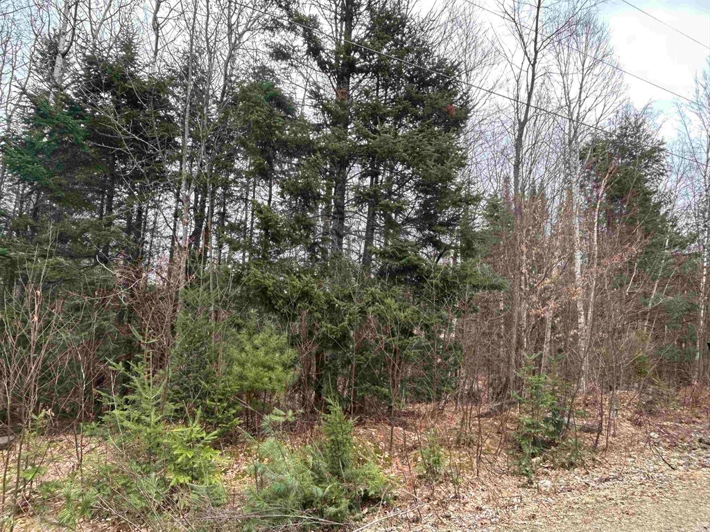 Photo of 15 Holbrook Hill Road, Stratford, NH 03590 (MLS # 5078157)