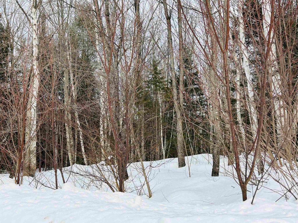 Photo of 15 Holbrook Hill Road, Stratford, NH 03590 (MLS # 5078157)