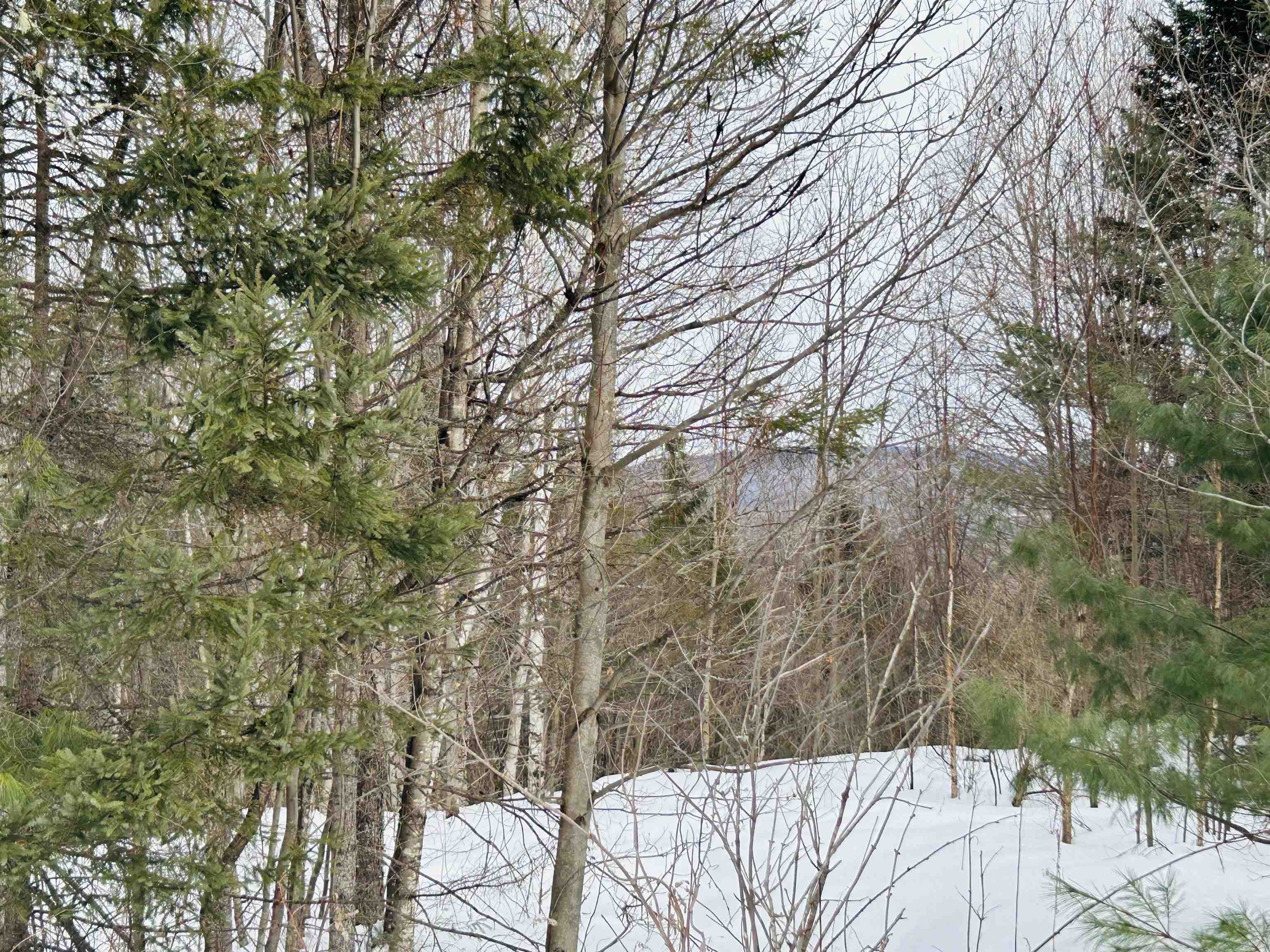 Lot 15 Holbrook Hill Road