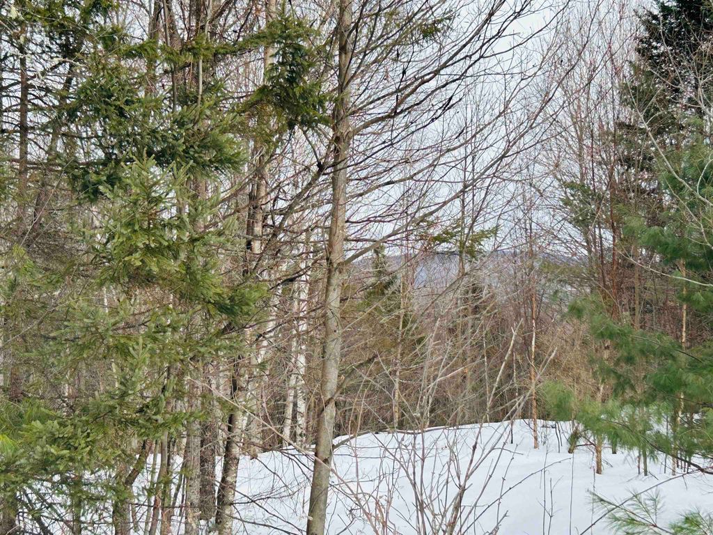 Photo of 15 Holbrook Hill Road, Stratford, NH 03590 (MLS # 5078157)