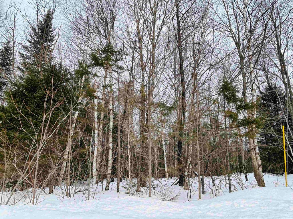 Photo of 15 Holbrook Hill Road, Stratford, NH 03590 (MLS # 5078157)