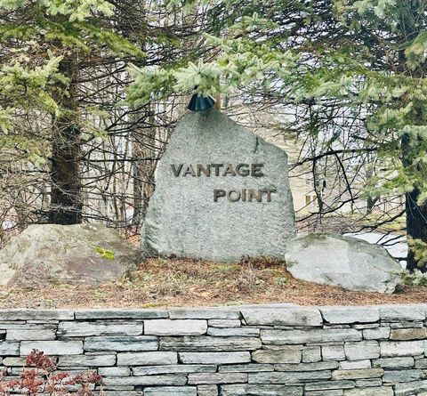 85 East Birch Road 21 Stratton VT 05155