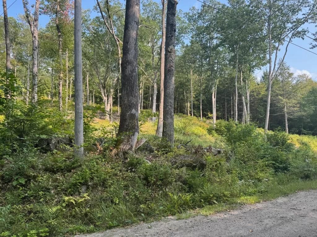 Photo of 72 Pound Road South, Sutton, NH 03287 (MLS # 5060592)