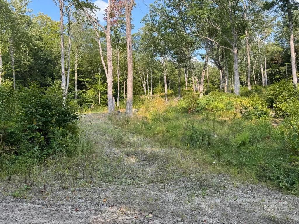 Photo of 72 Pound Road South, Sutton, NH 03287 (MLS # 5060592)