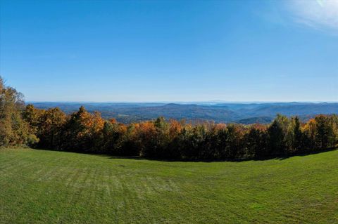 8 Rice Hill Road Dover VT 05356