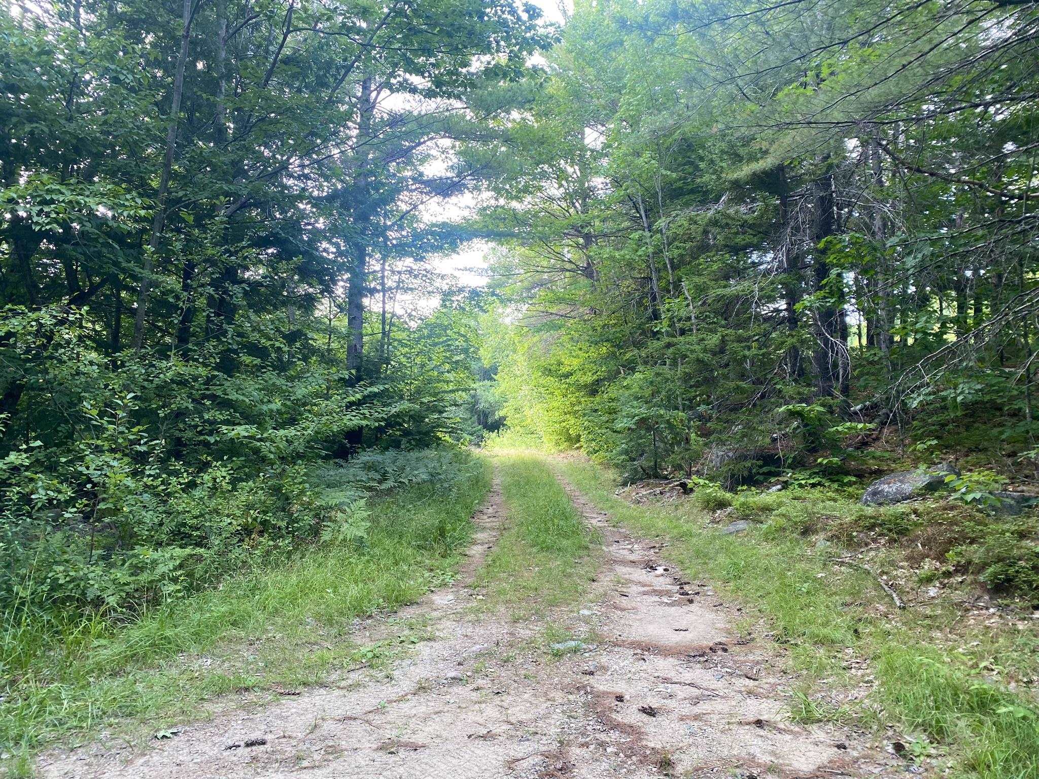 Willis Bean Road 2,4,6