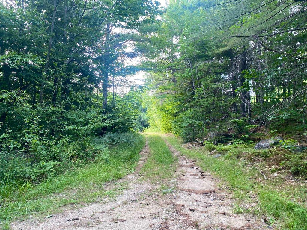 Photo of Willis Bean Road #2,4,6, Eaton, NH 03832 (MLS # 5006353)