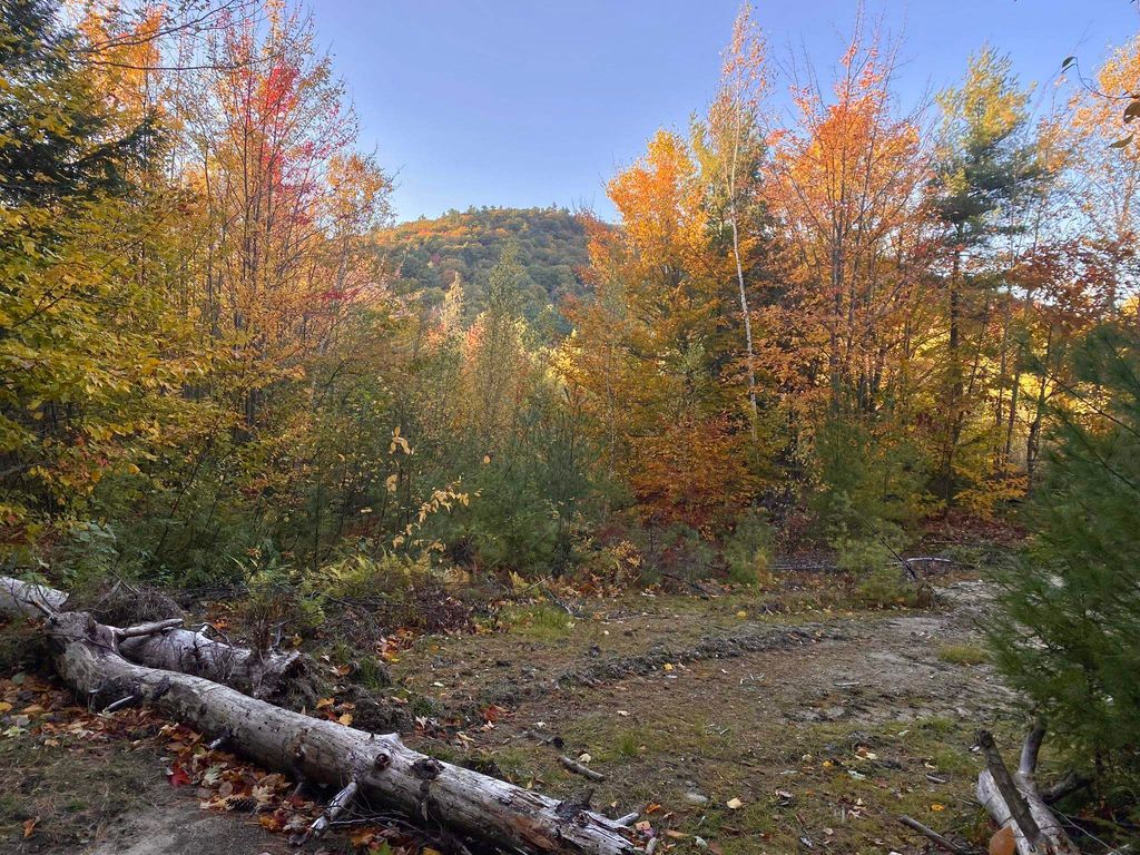 Photo of Willis Bean Road #2,4,6, Eaton, NH 03832 (MLS # 5006353)