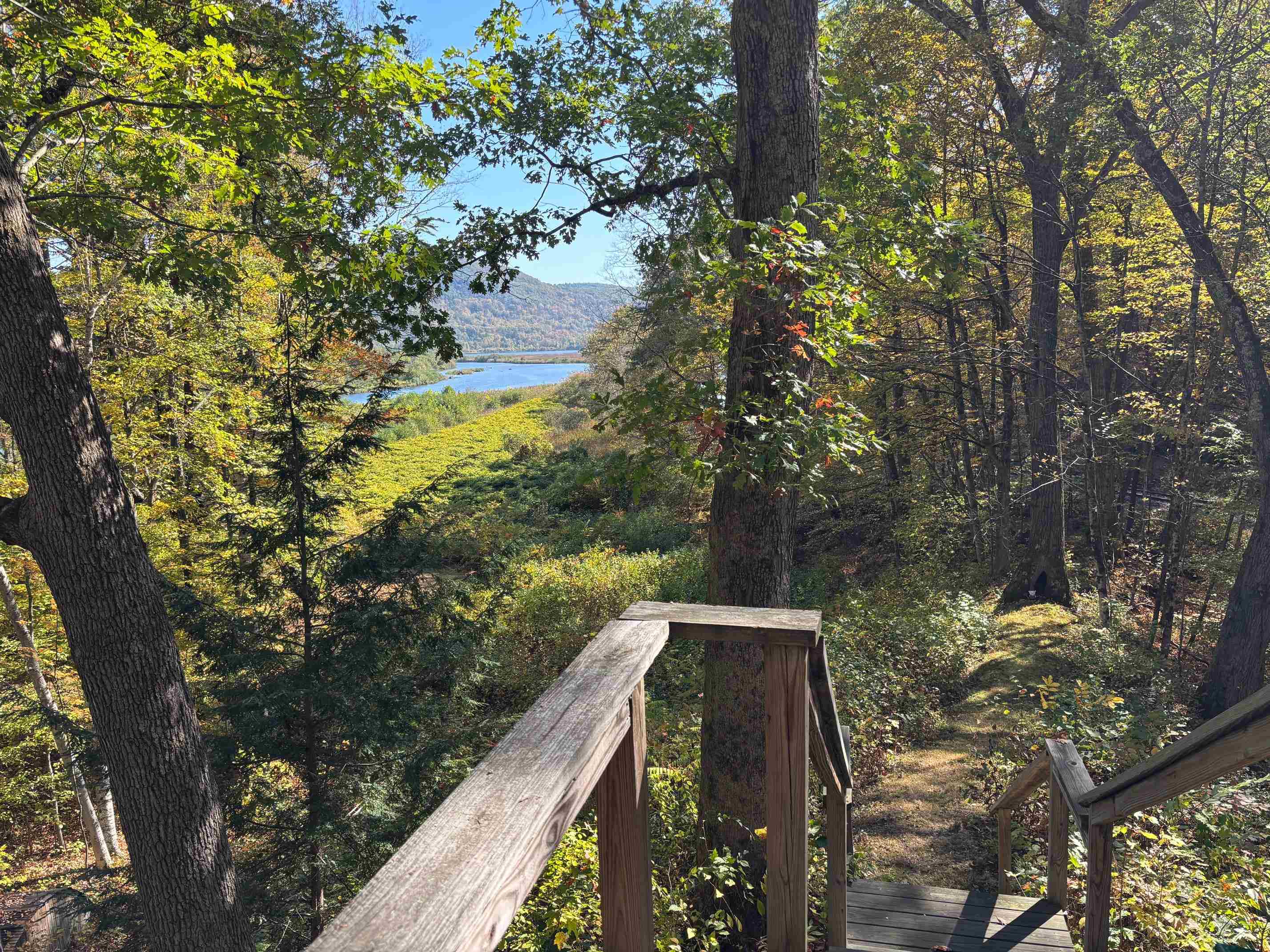 79 Missing Link Road