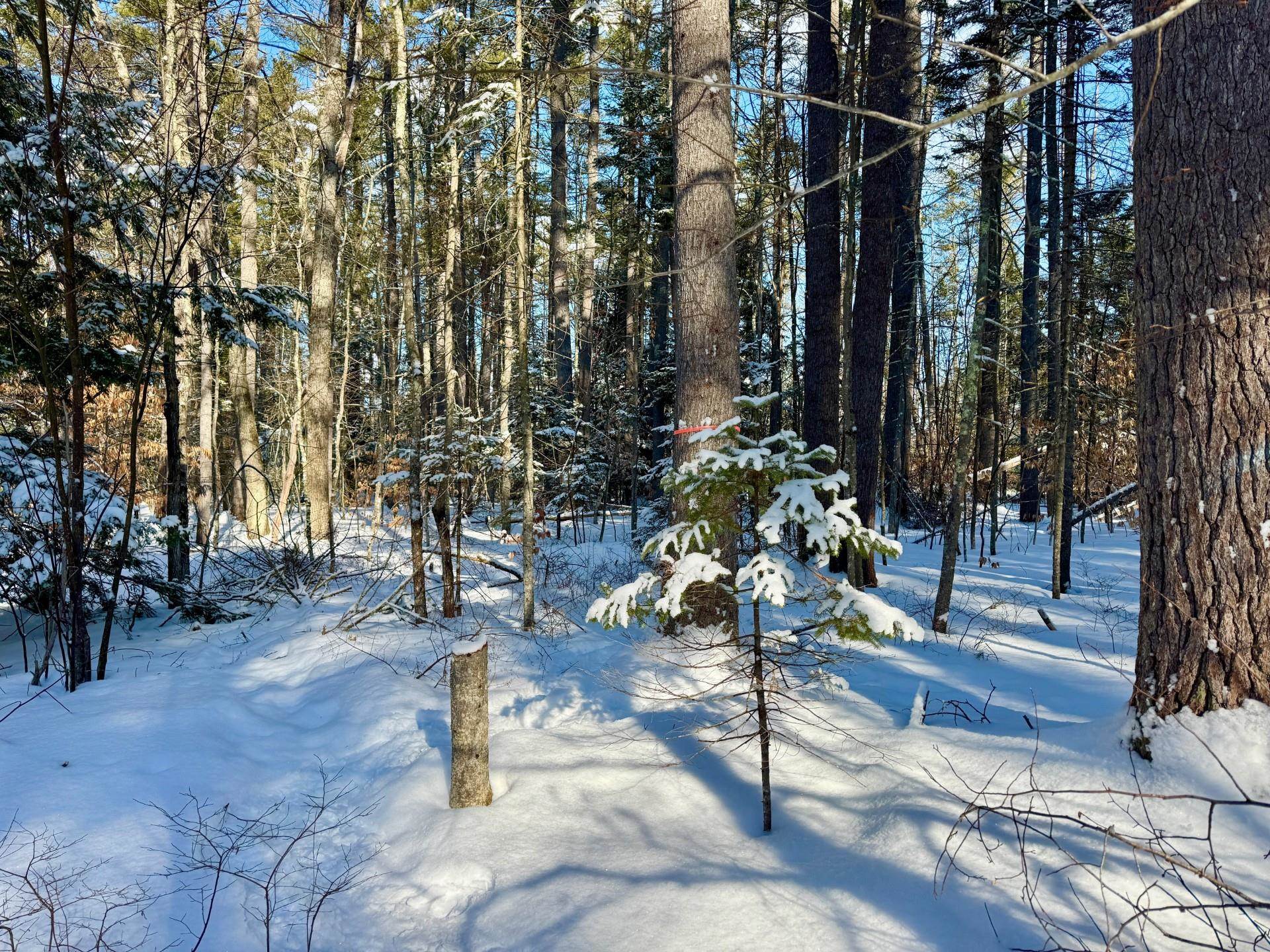 00 Swans Falls Road Lot A