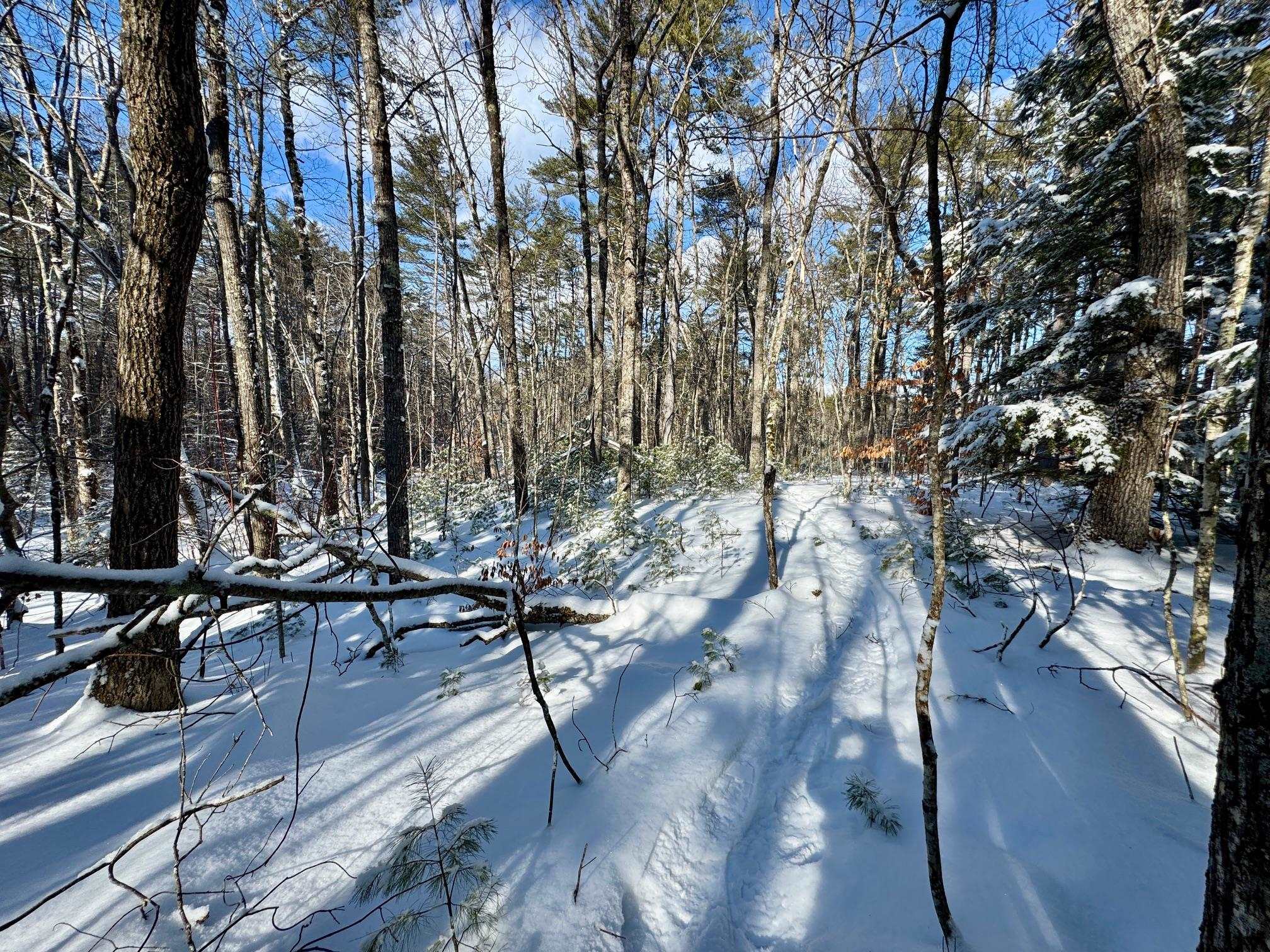 00 Swans Falls Road Lot A