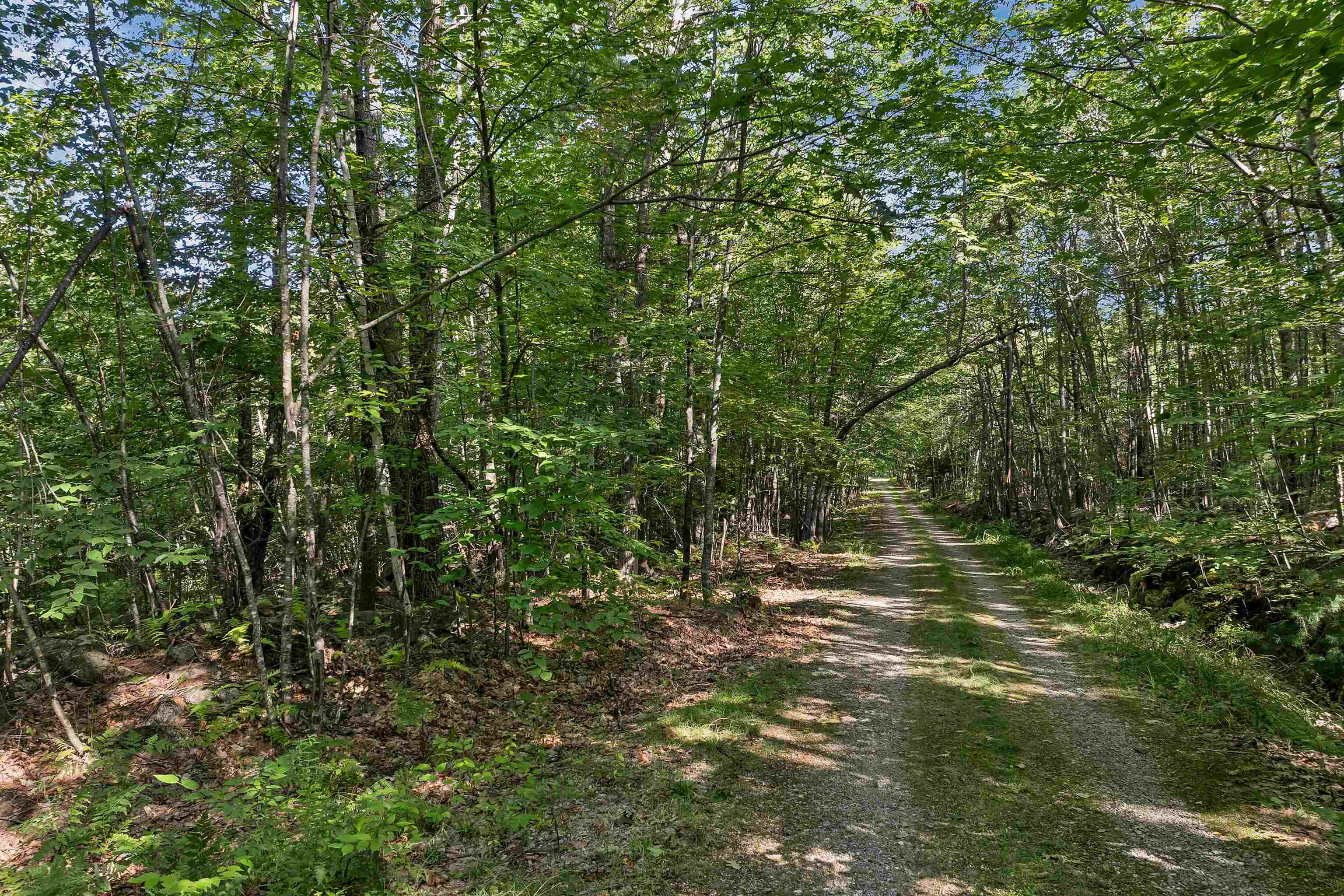 Chamberlain Road 11