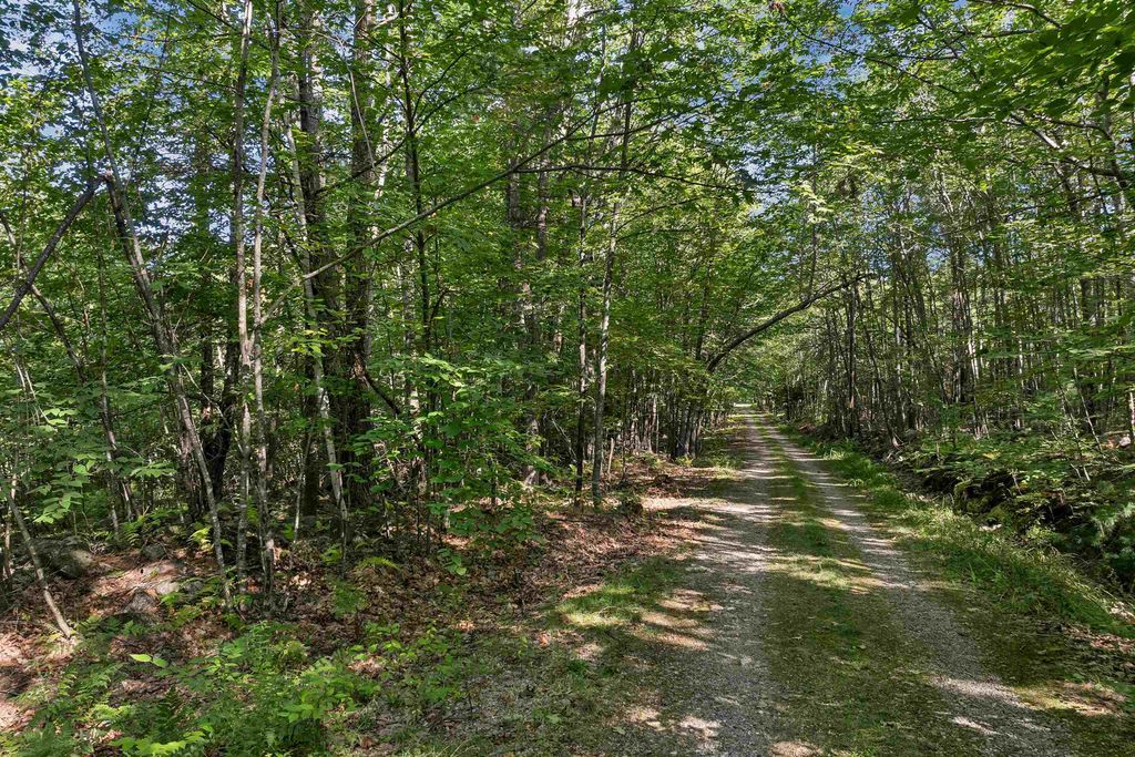 Photo of Chamberlain Road #11, Alton, NH 03809 (MLS # 5061842)