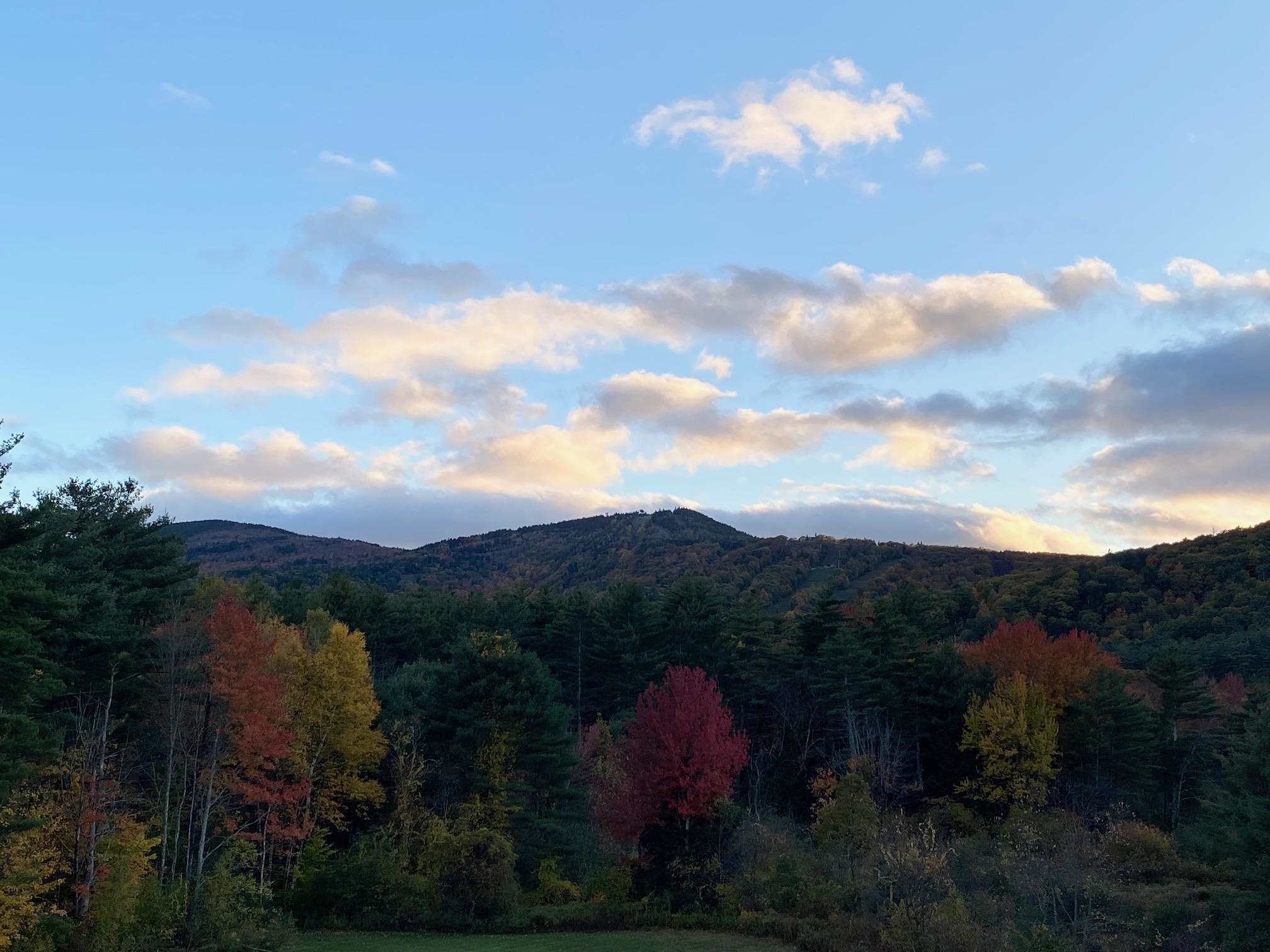 663 Cherry Valley Road 211