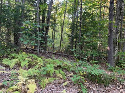 21 Quimby Drive 21 Northwood NH 03261