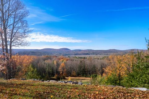 196 Old Ice House Lane Brandon VT 05733