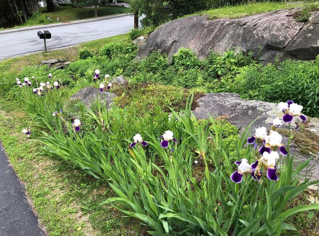 Photo of 43 Nottingham Circle, Lebanon, NH 03766 (MLS # 5083679)