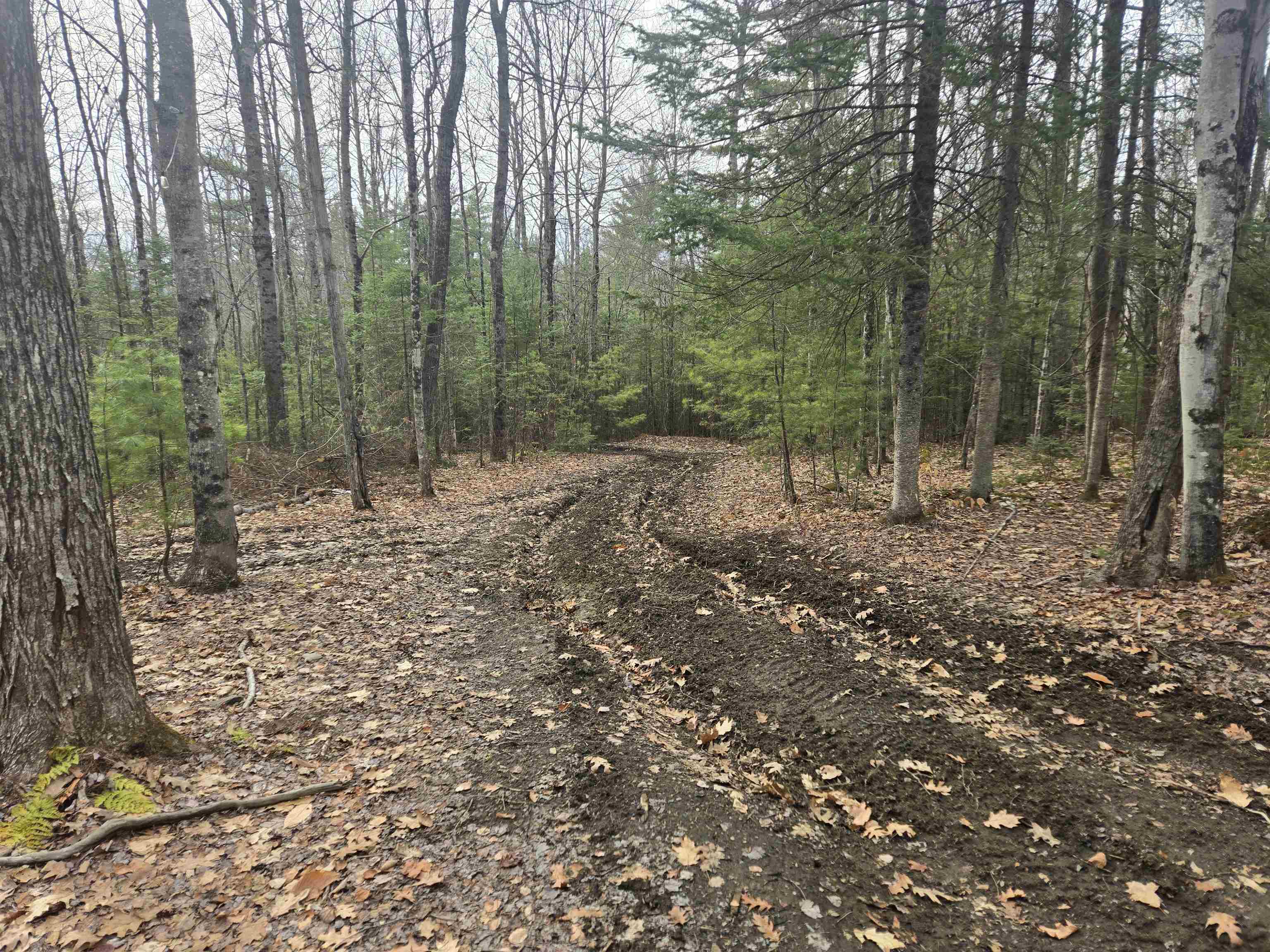 277 Foster Hill Road