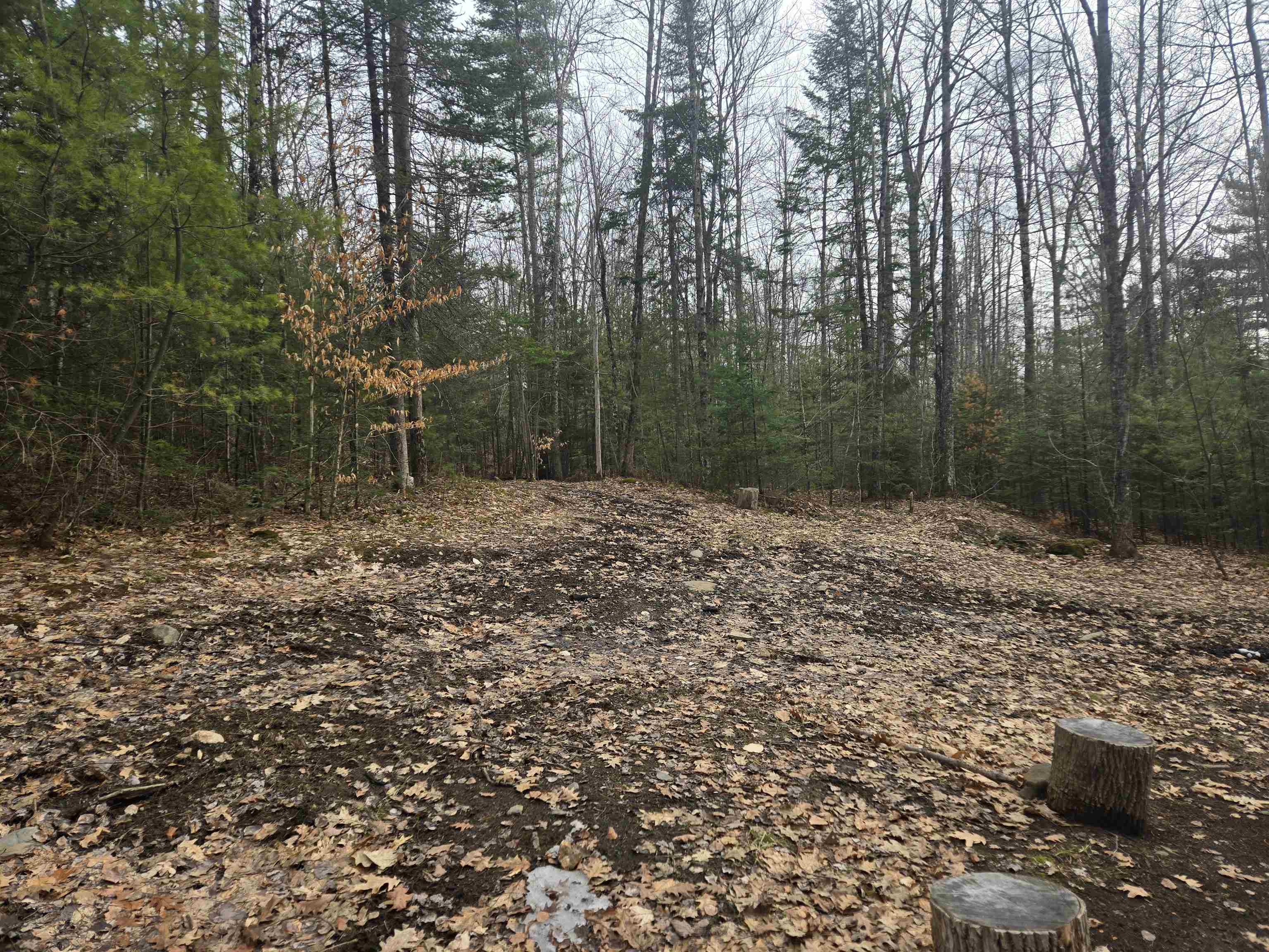 277 Foster Hill Road