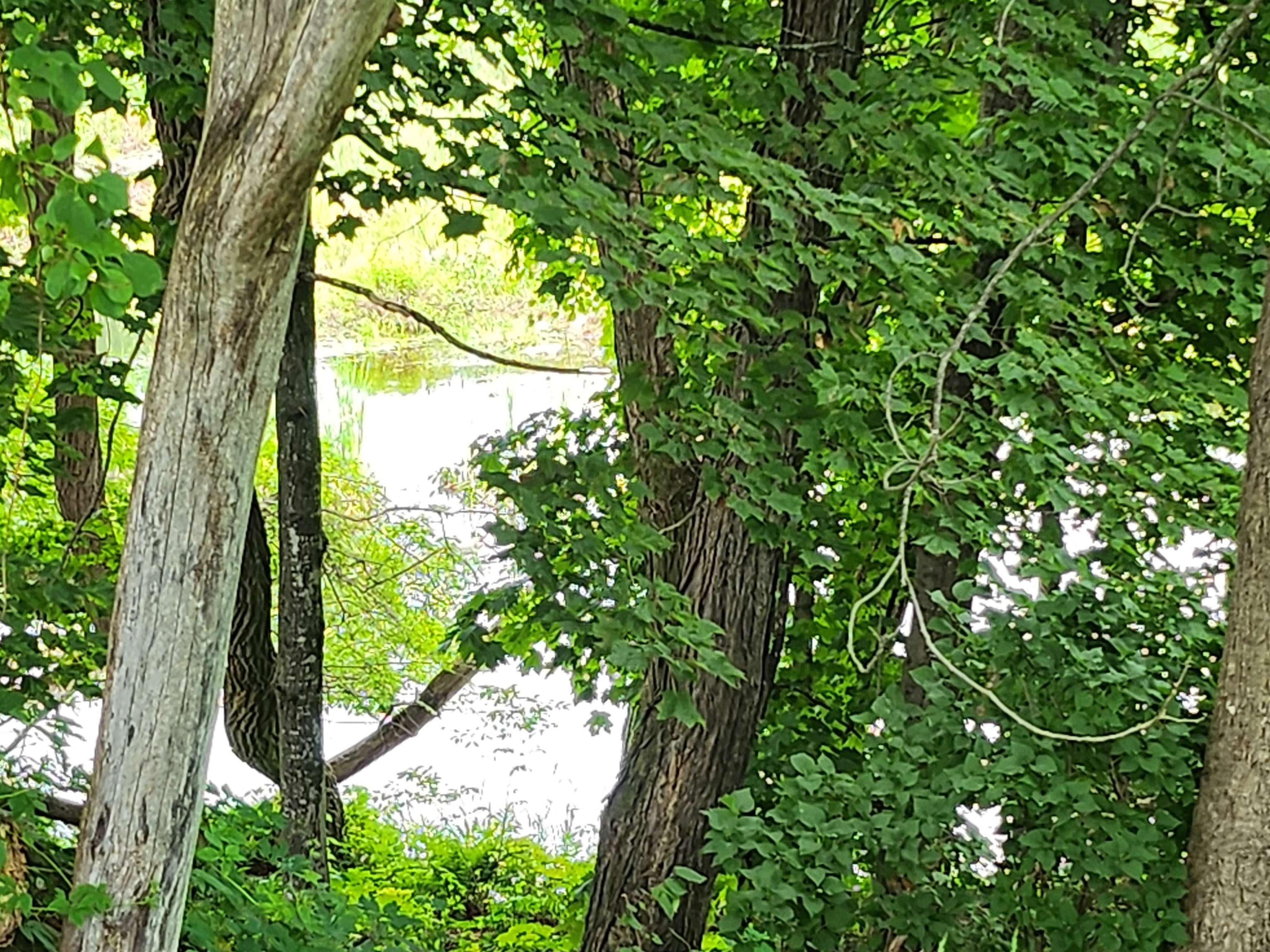 126 Meredith Center Road