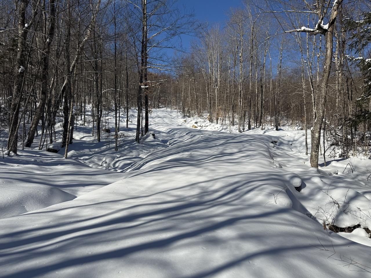 S-1e Great Roaring Brook Road S-1e