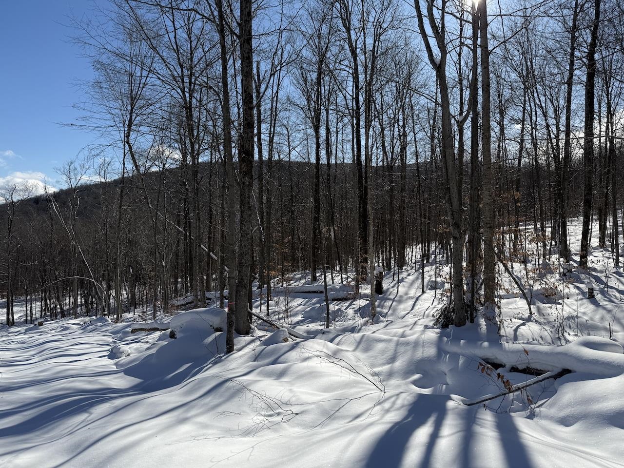 S-1e Great Roaring Brook Road S-1e
