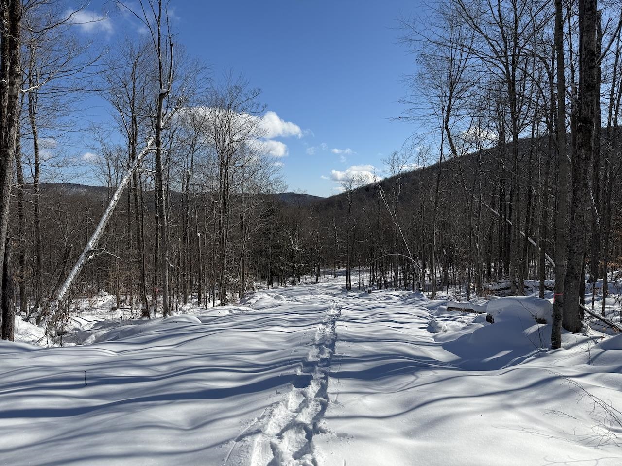 S-1e Great Roaring Brook Road S-1e