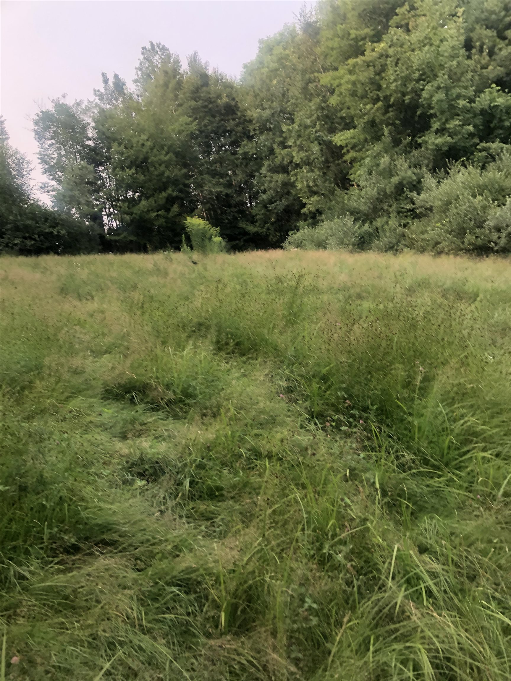 Lot 4 Belvedere Road