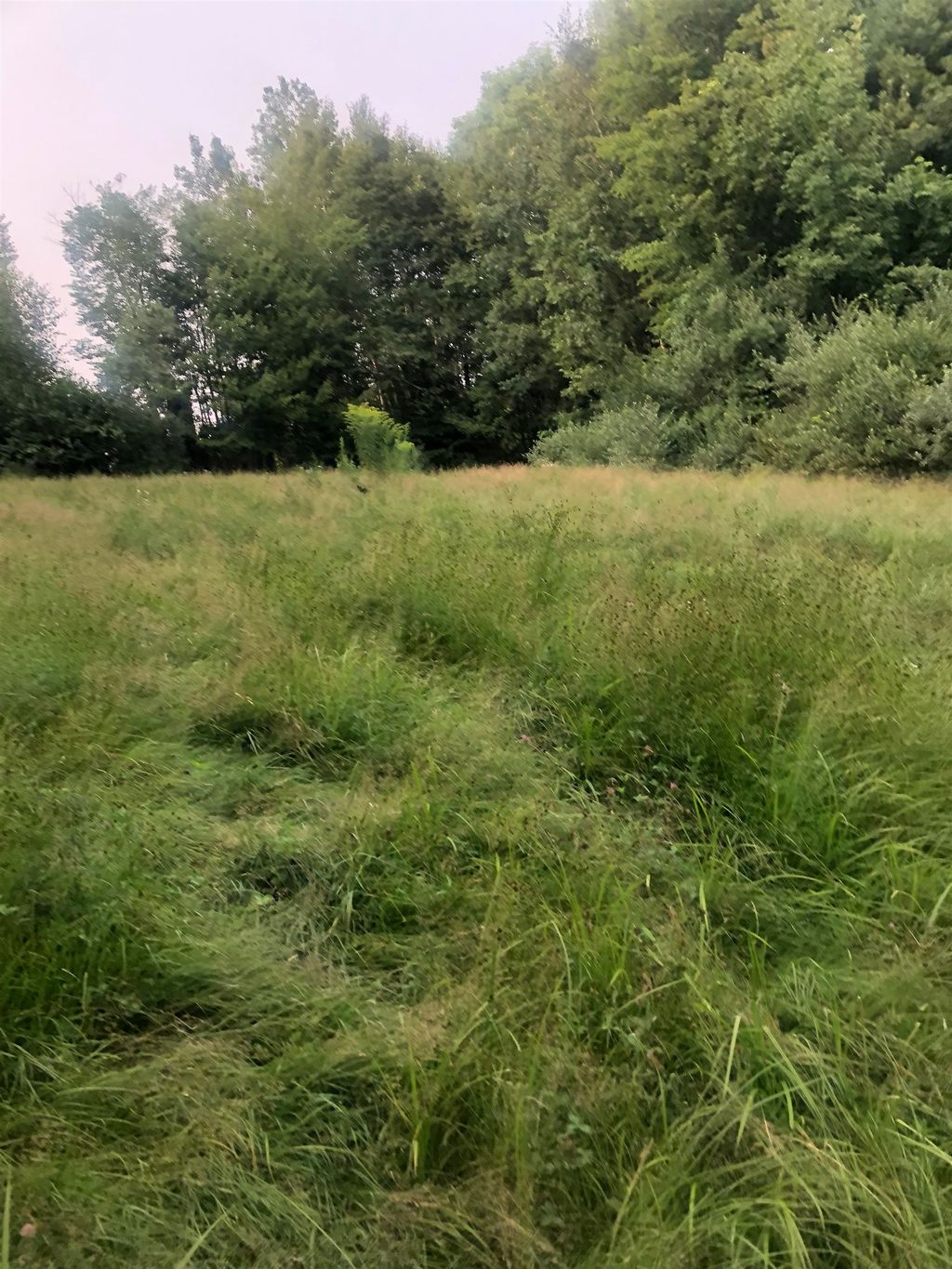 Photo of 4 Belvedere Road, Gilsum, NH 03448 (MLS # 5055057)