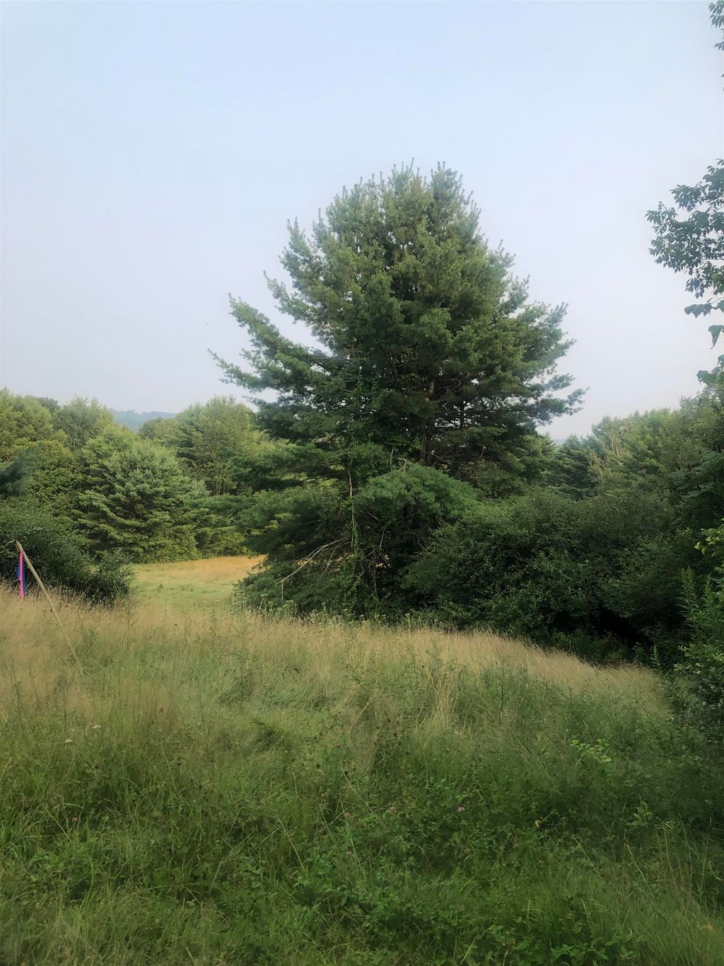 Photo of 4 Belvedere Road, Gilsum, NH 03448 (MLS # 5055057)