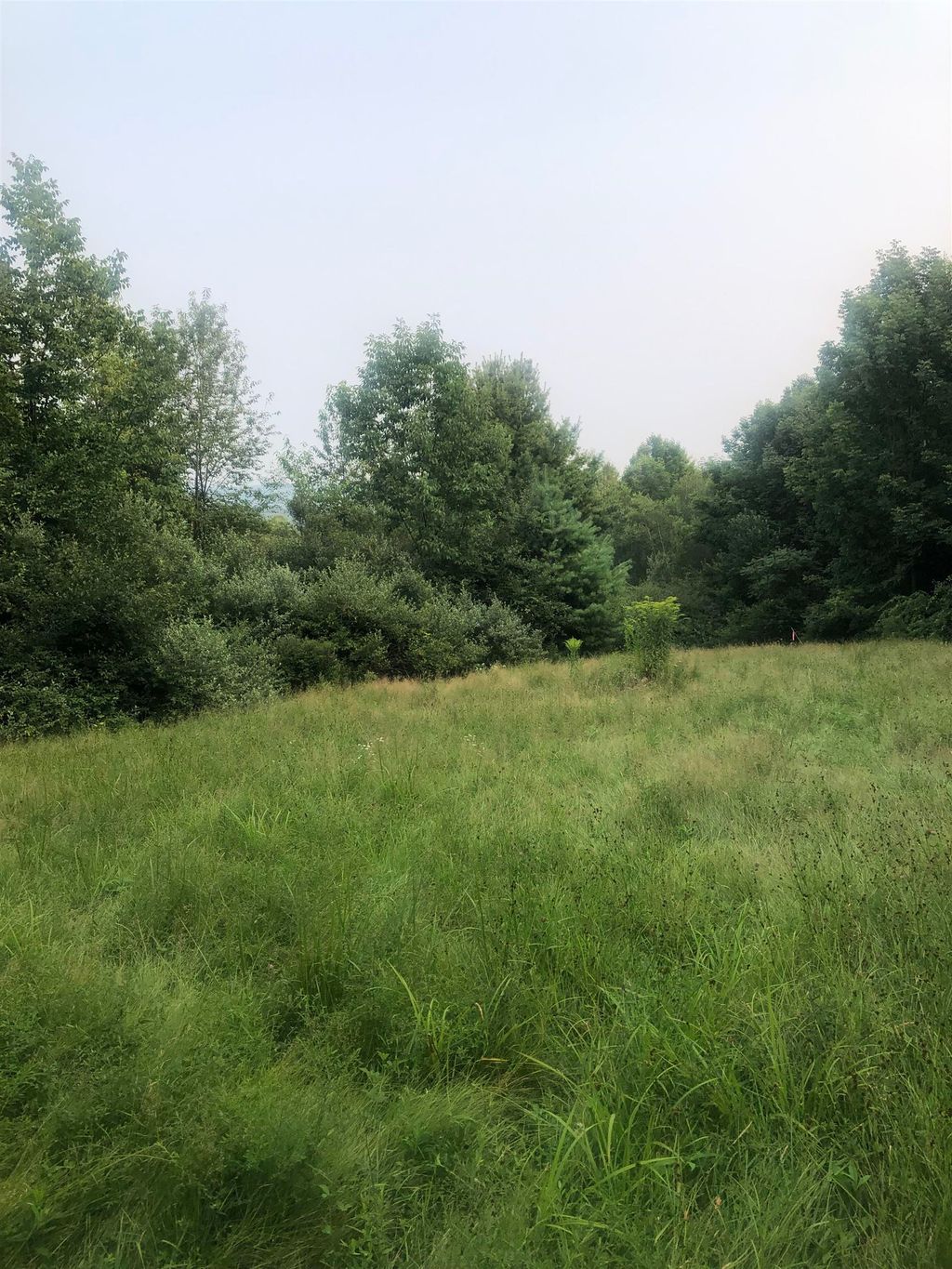 Photo of 4 Belvedere Road, Gilsum, NH 03448 (MLS # 5055057)