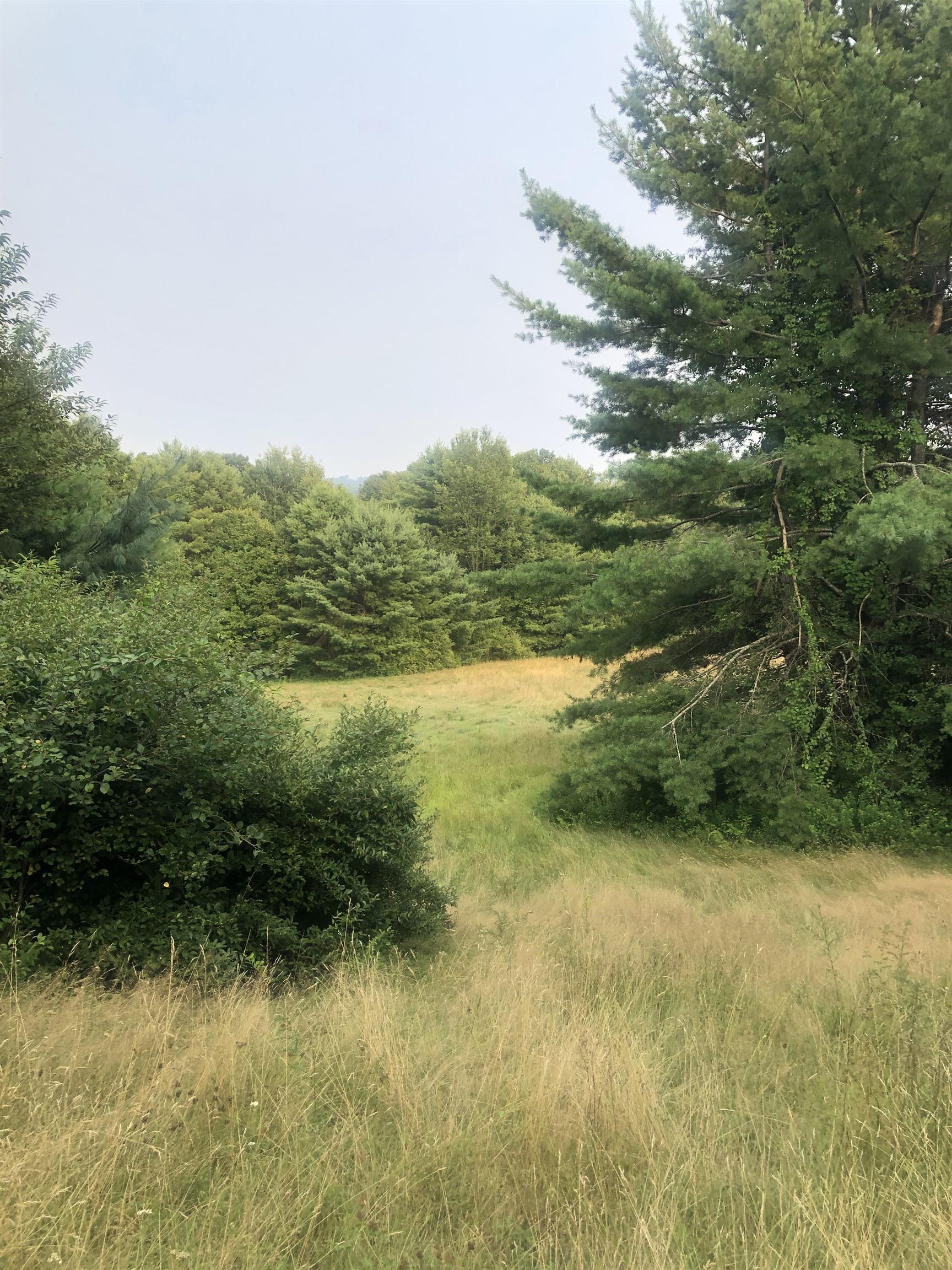 Lot 4 Belvedere Road