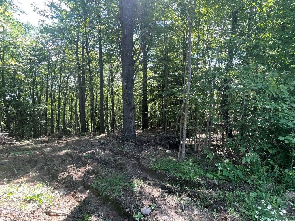 Photo of 00 Kennedy Brook Drive, Stoddard, NH 03464 (MLS # 5052922)