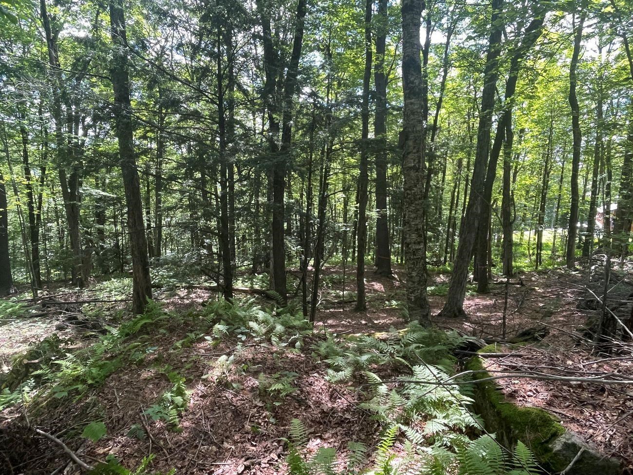 00 Kennedy Brook Drive