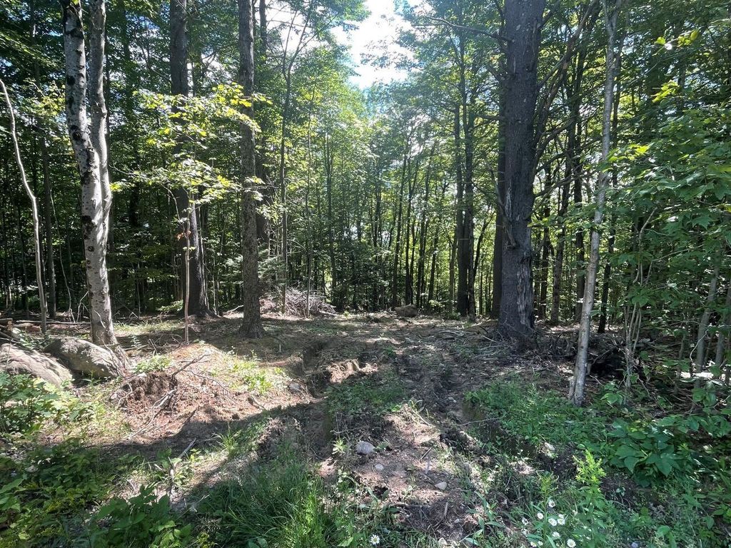 Photo of 00 Kennedy Brook Drive, Stoddard, NH 03464 (MLS # 5052922)