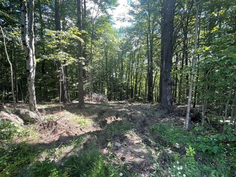 00 Kennedy Brook Drive Stoddard NH 03464