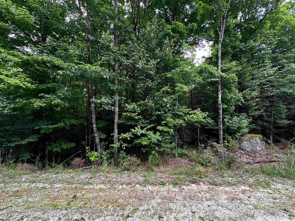 Photo of 62 Patterson Road, Wilmot, NH 03287 (MLS # 5035108)