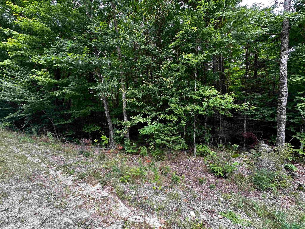 Photo of 62 Patterson Road, Wilmot, NH 03287 (MLS # 5035108)