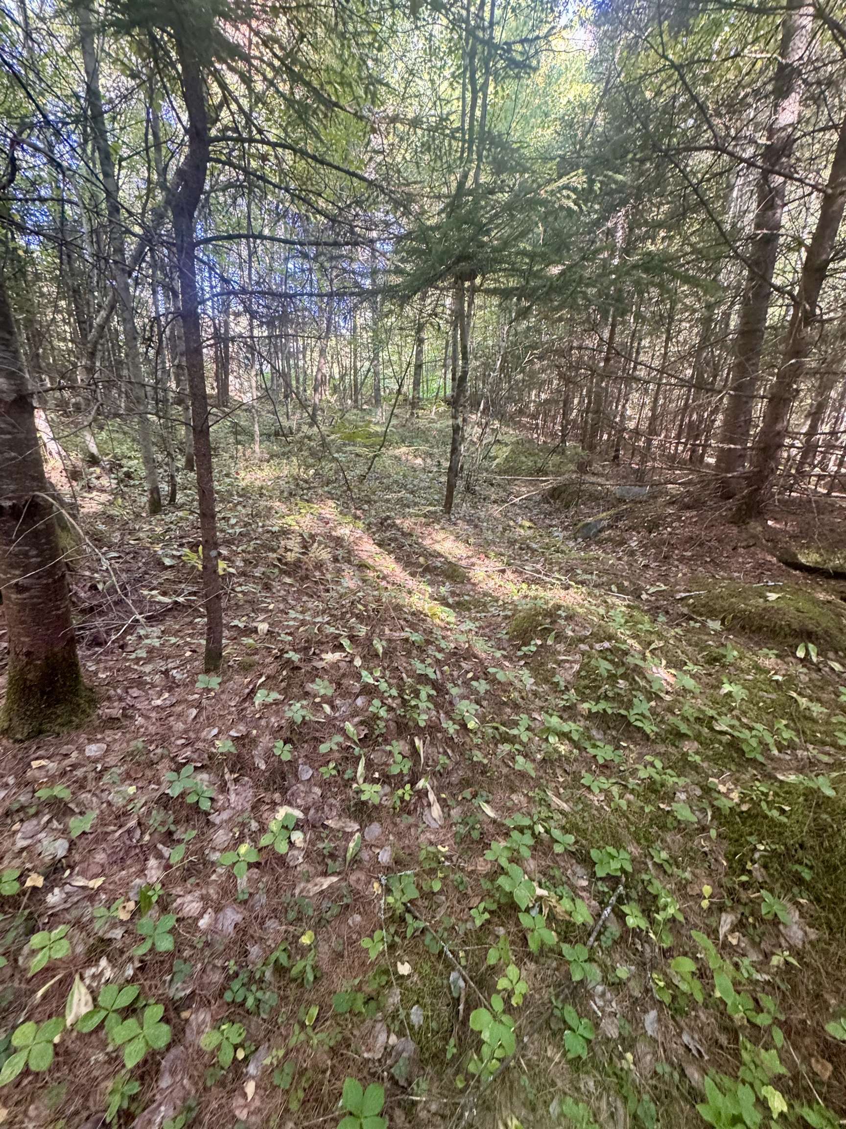 0 Thorn Hill Road 406/22