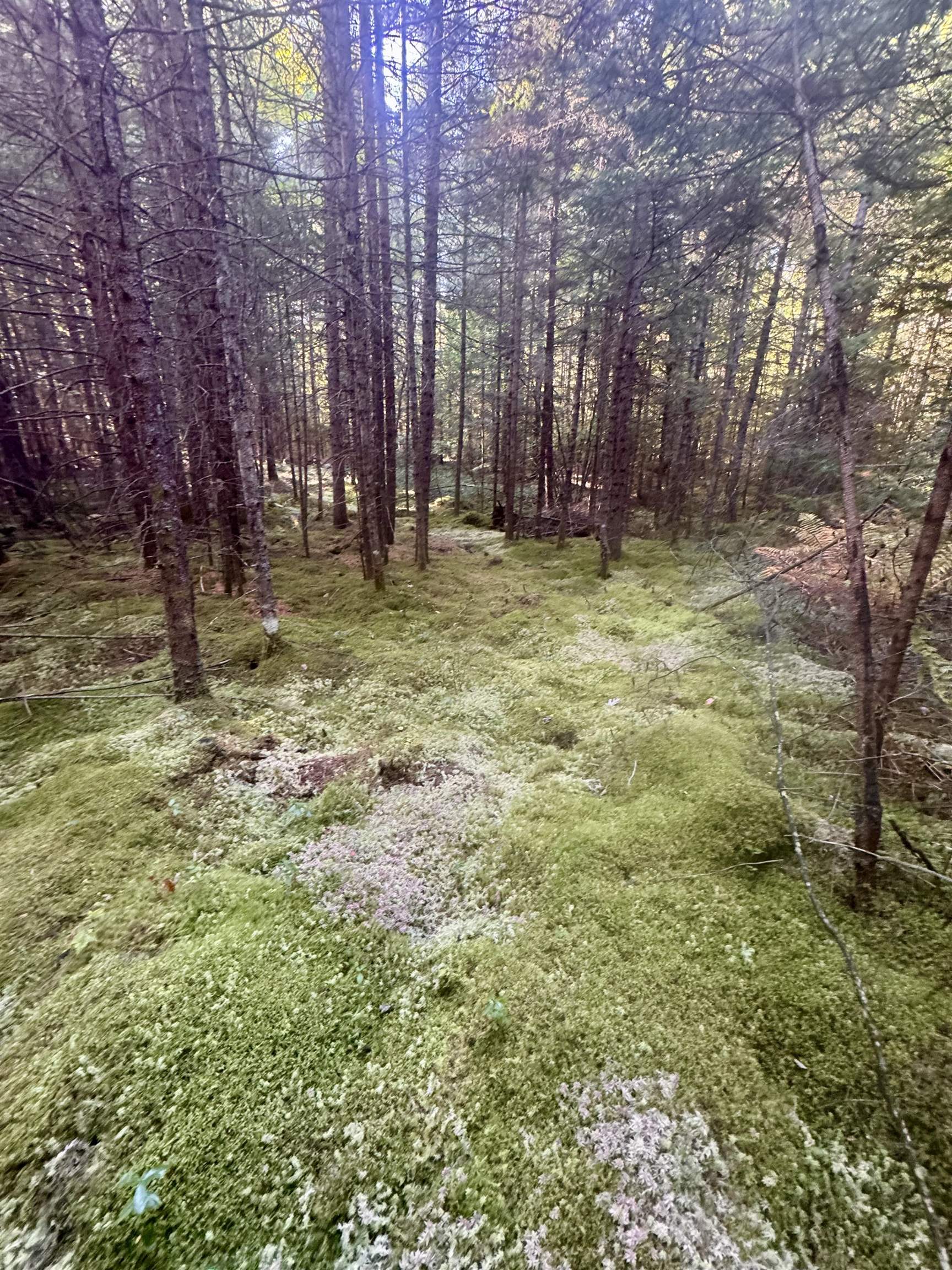 0 Thorn Hill Road 406/22